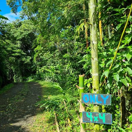 Vulkan Arenal Amazing View Lodge 4 Wd El Castillo Exterior foto