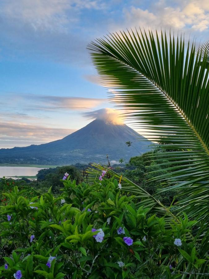 Vulkan Arenal Amazing View Lodge 4 Wd El Castillo Exterior foto
