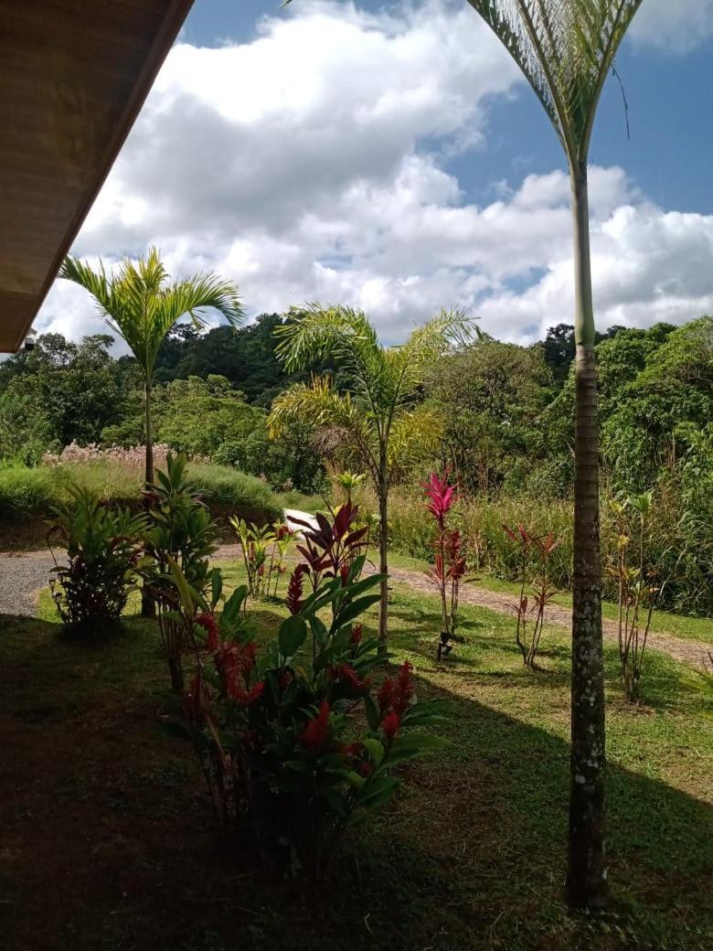 Vulkan Arenal Amazing View Lodge 4 Wd El Castillo Exterior foto